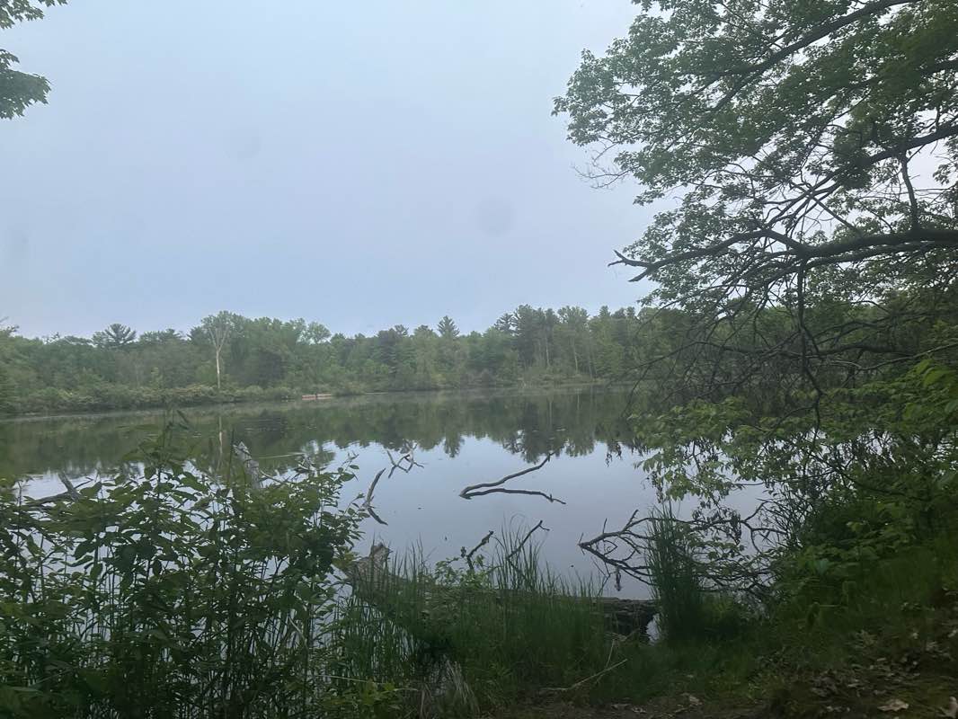 walking near me in Upper Whiting Park in summer
