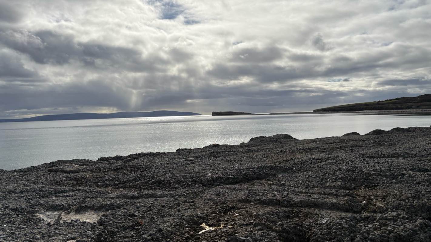 walking near me in Quincentennial Park in spring