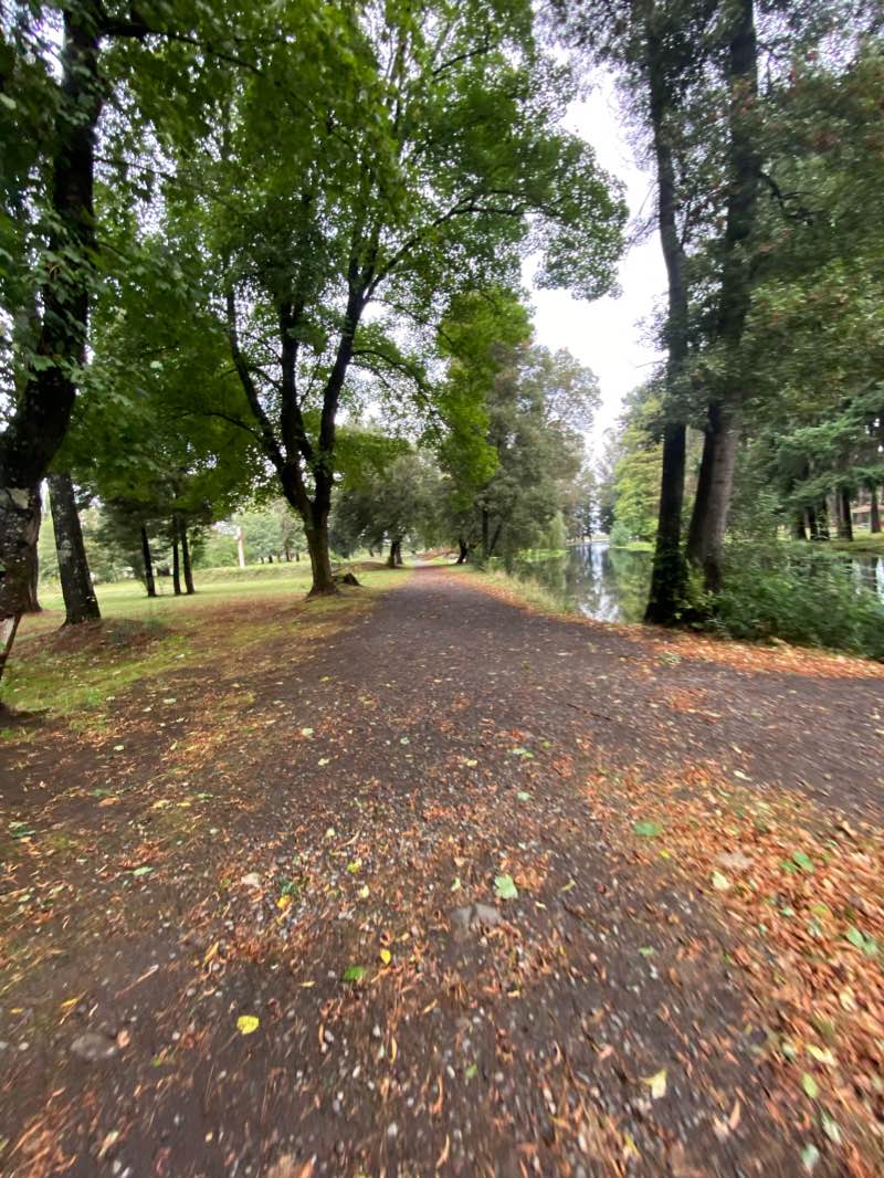 walking near me in Parque Isabel Riquelme in summer