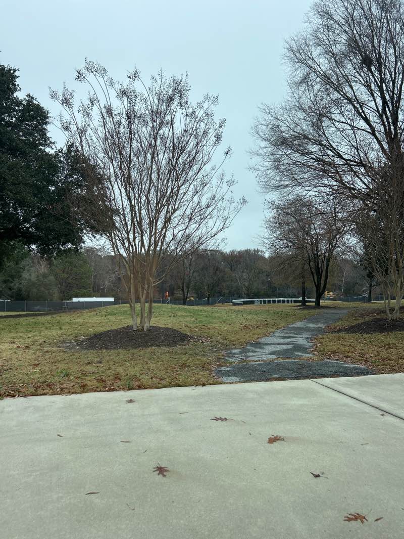 walking near me in Town Common in winter