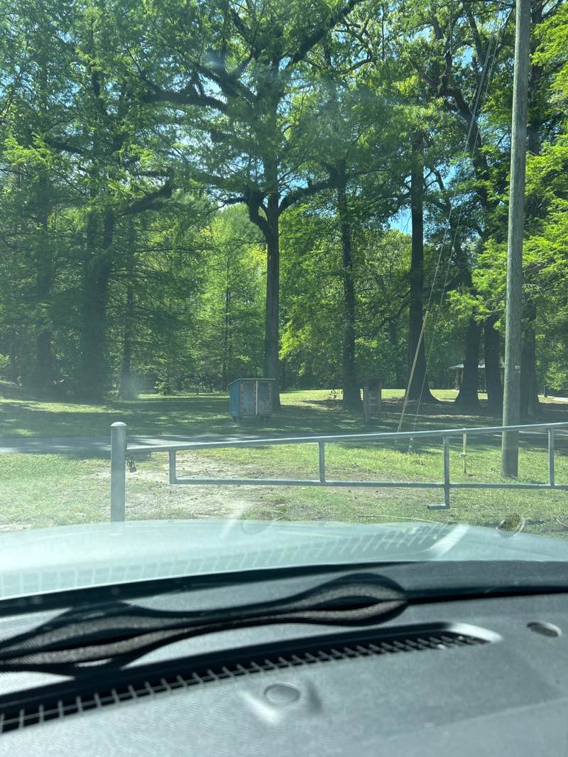 walking near me in Greensprings Park in spring