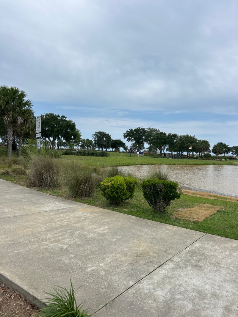 walking near me in Veterans Memorial Park in spring