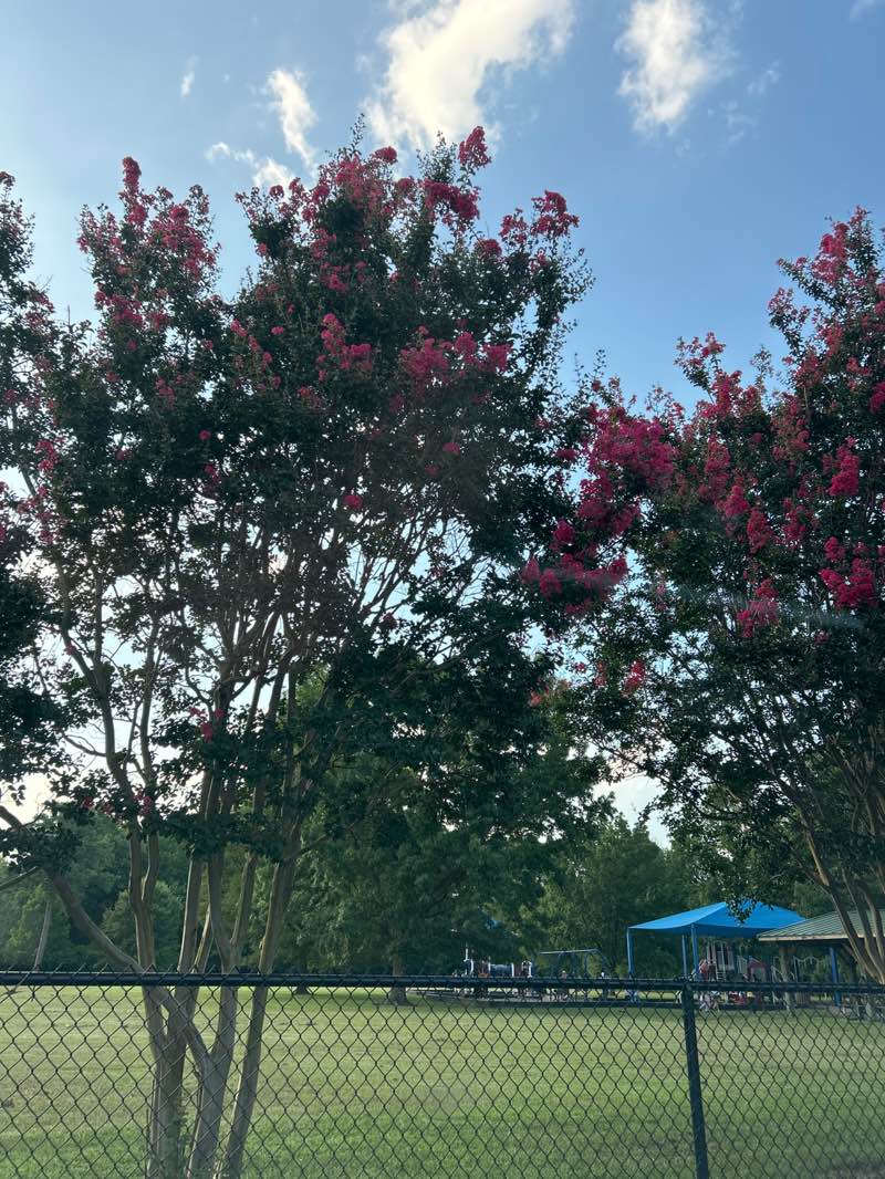 walking near me in Paramore Park in autumn