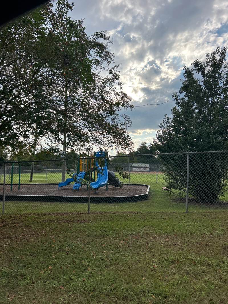 walking near me in Lions Park in autumn