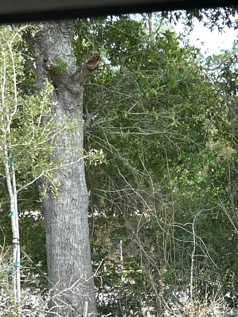 walking near me in Mayo Park in winter