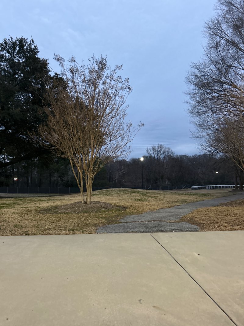 walking near me in Town Common in winter