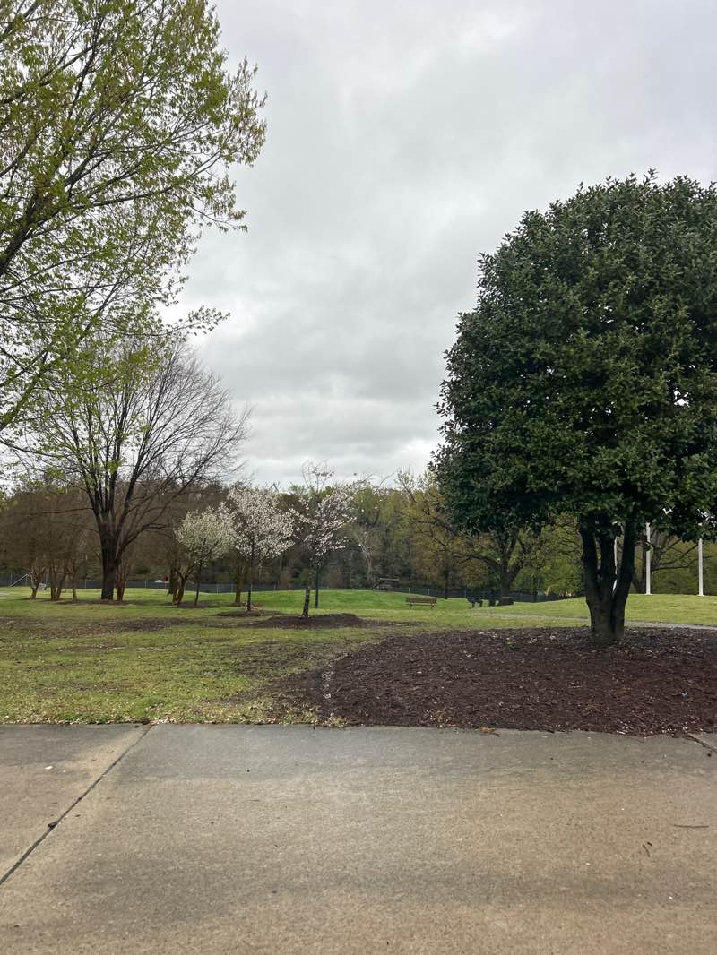 walking near me in Town Common in spring