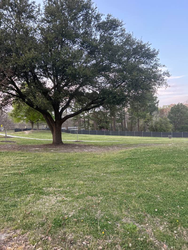 walking near me in South Tar River Greenway in spring