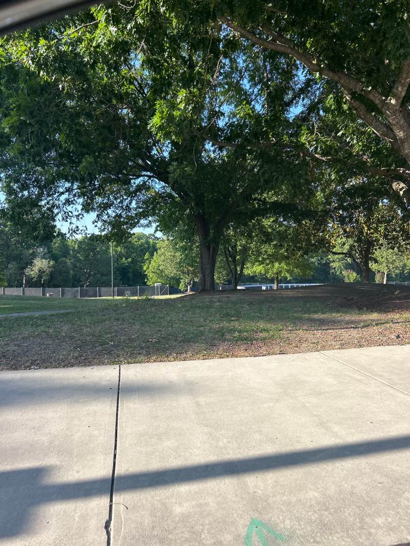walking near me in Town Common in summer