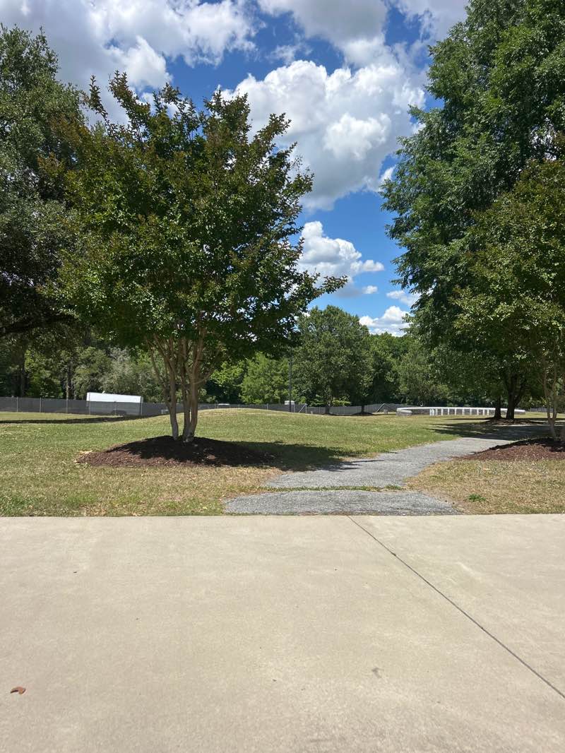 walking near me in Town Common in summer
