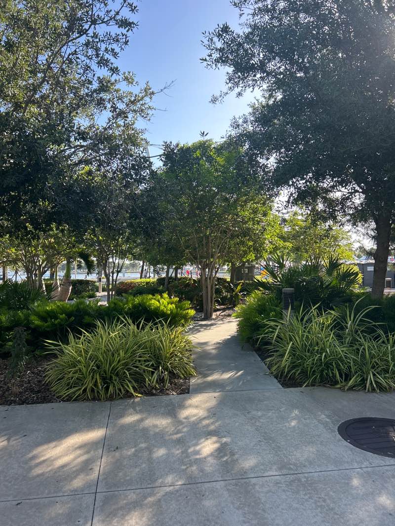 walking near me in Saint Pete Pier in summer