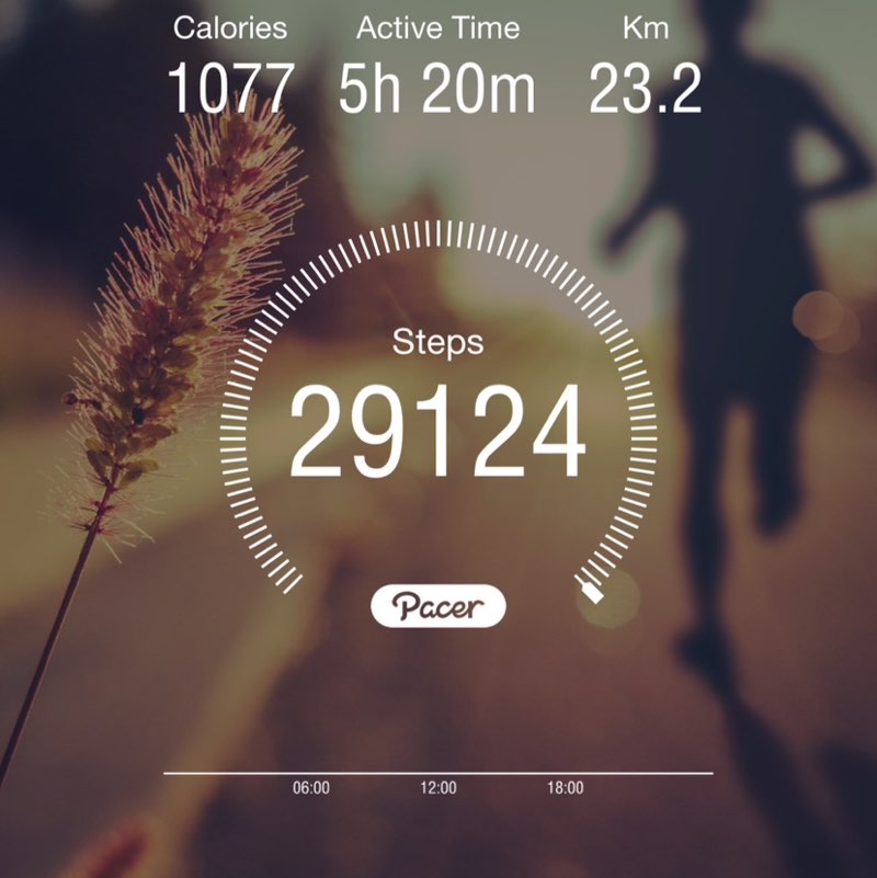 Opella GBS KL KL - Vannisa Champee post image