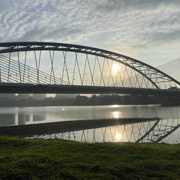 Opella GBS KL KL - Vannisa Champee post image