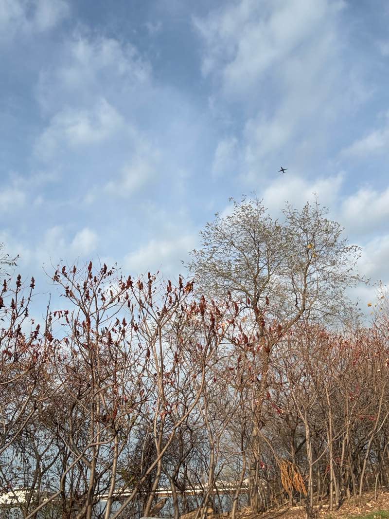 walking near me in Lakefront Reservation in autumn