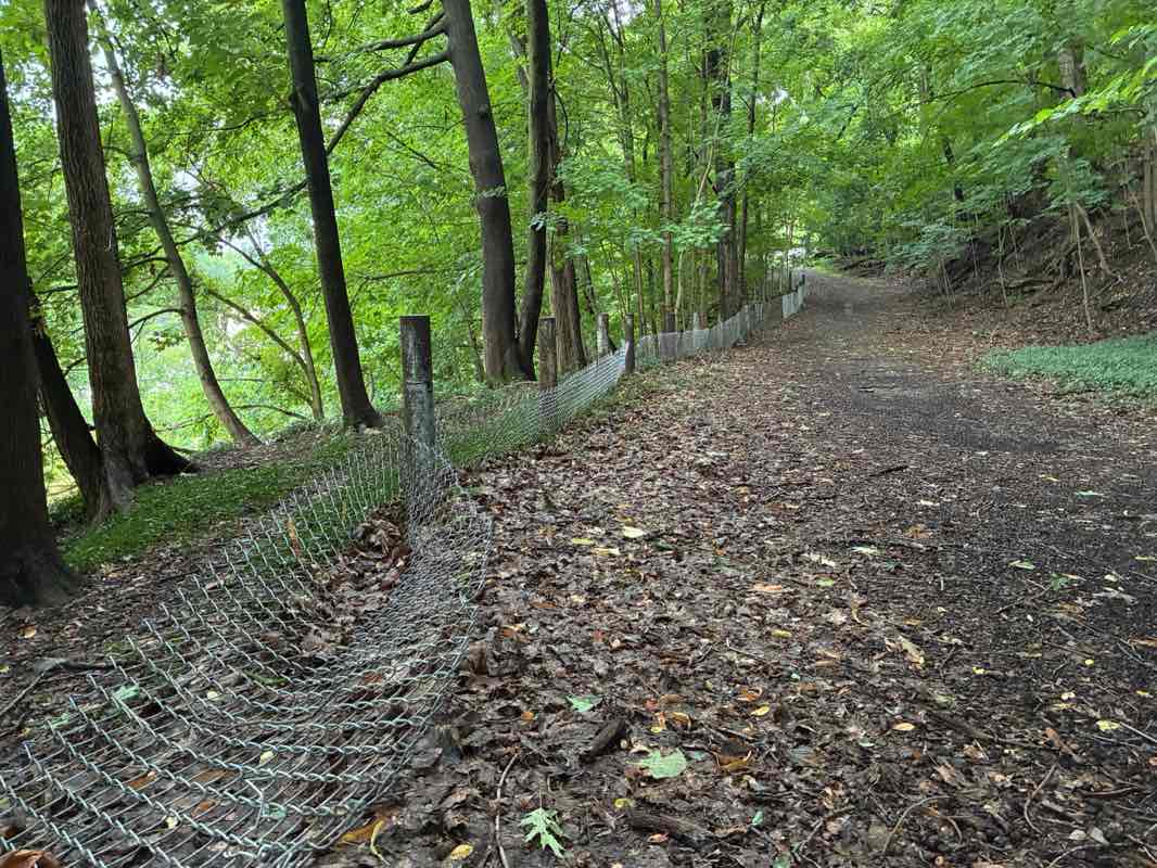 walking near me in Ely Park in autumn