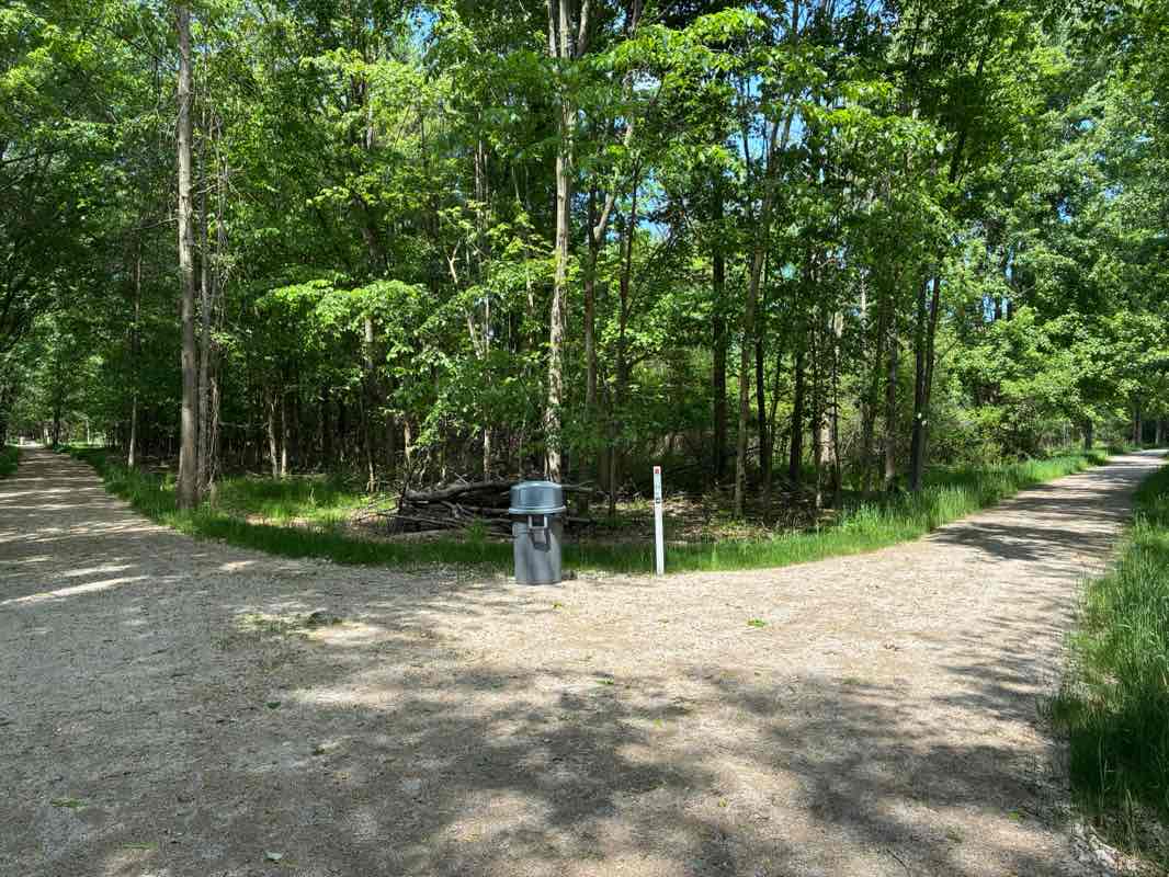 walking near me in Sandy Ridge Reservation in summer