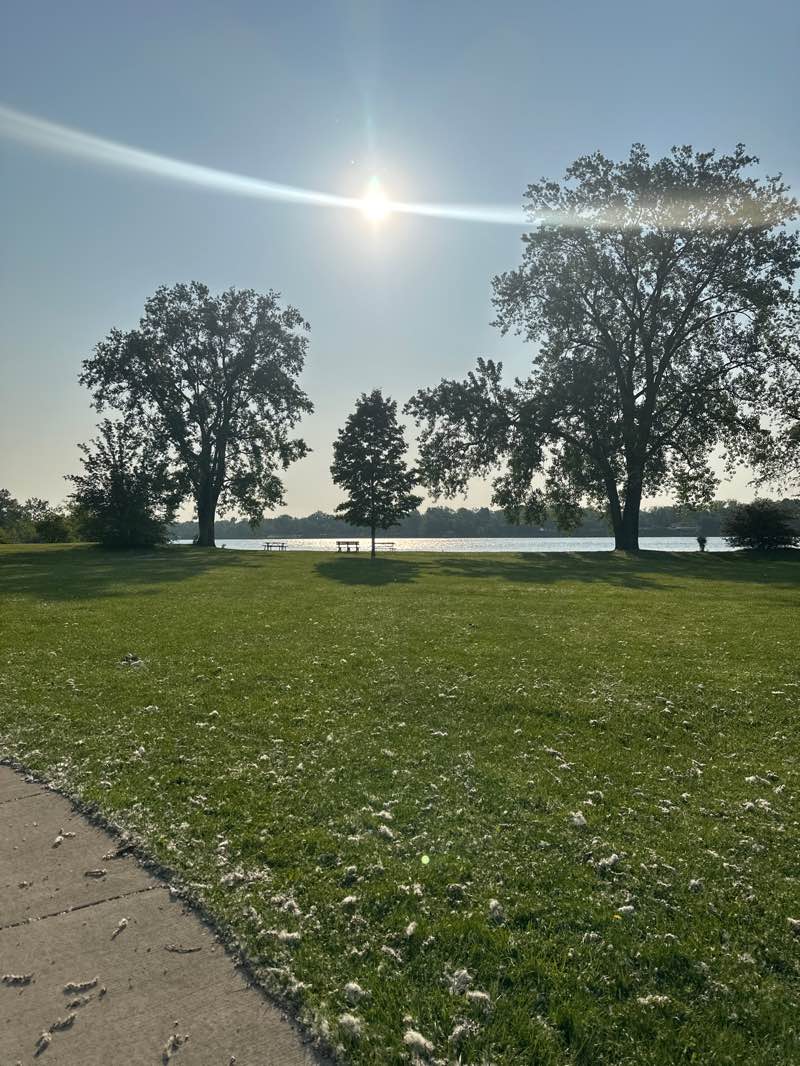walking near me in Meyer Ellias Memorial Park in summer