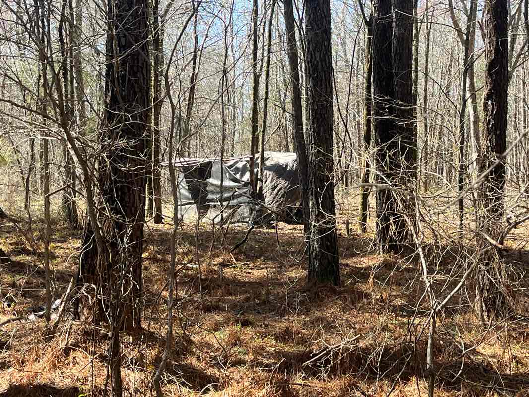 walking near me in Land Between the Lakes National Recreation Area in winter