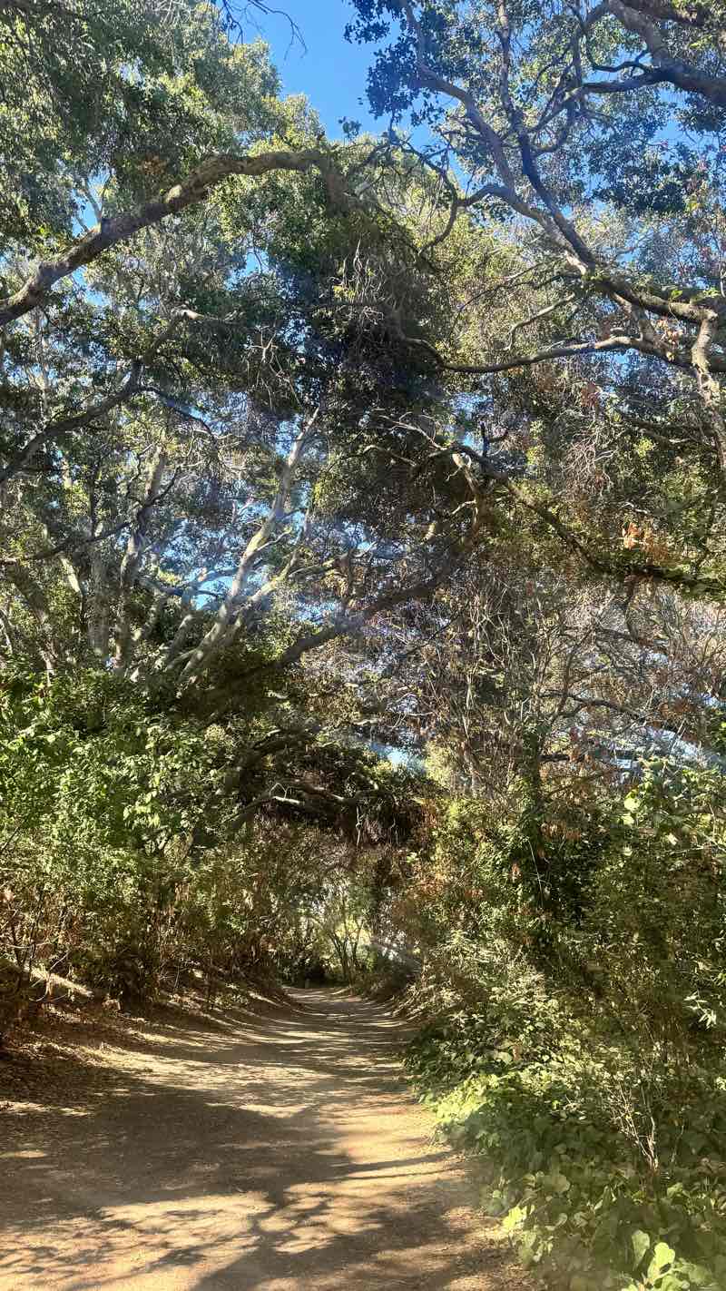 walking near me in Garin Regional Park Restricted Area in winter