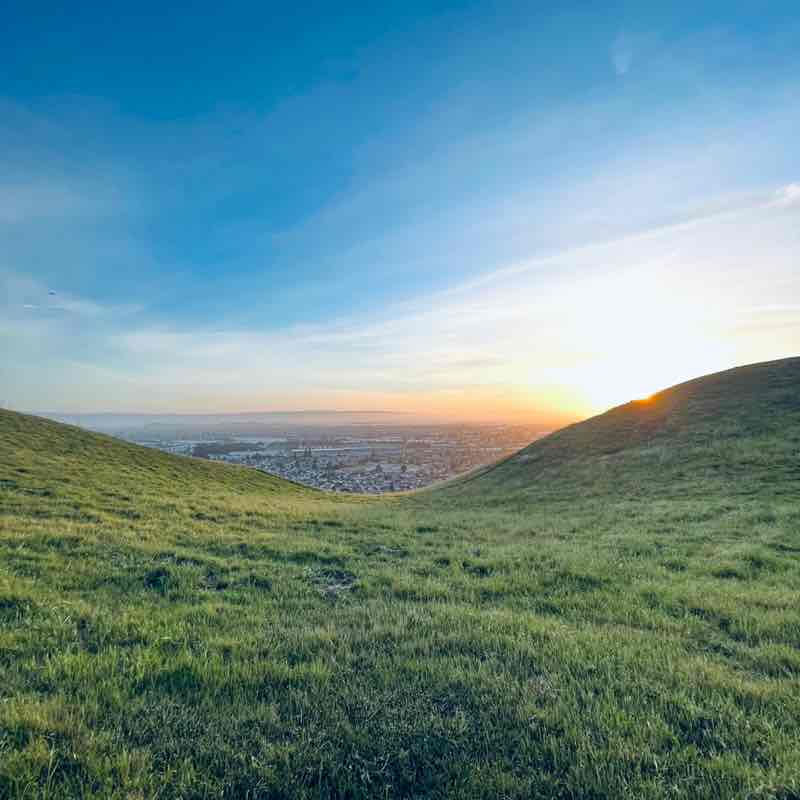 rodriguez.eliss post 2