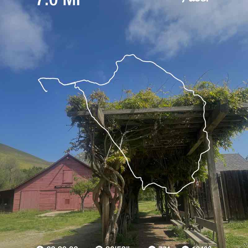 rodriguez.eliss post 1