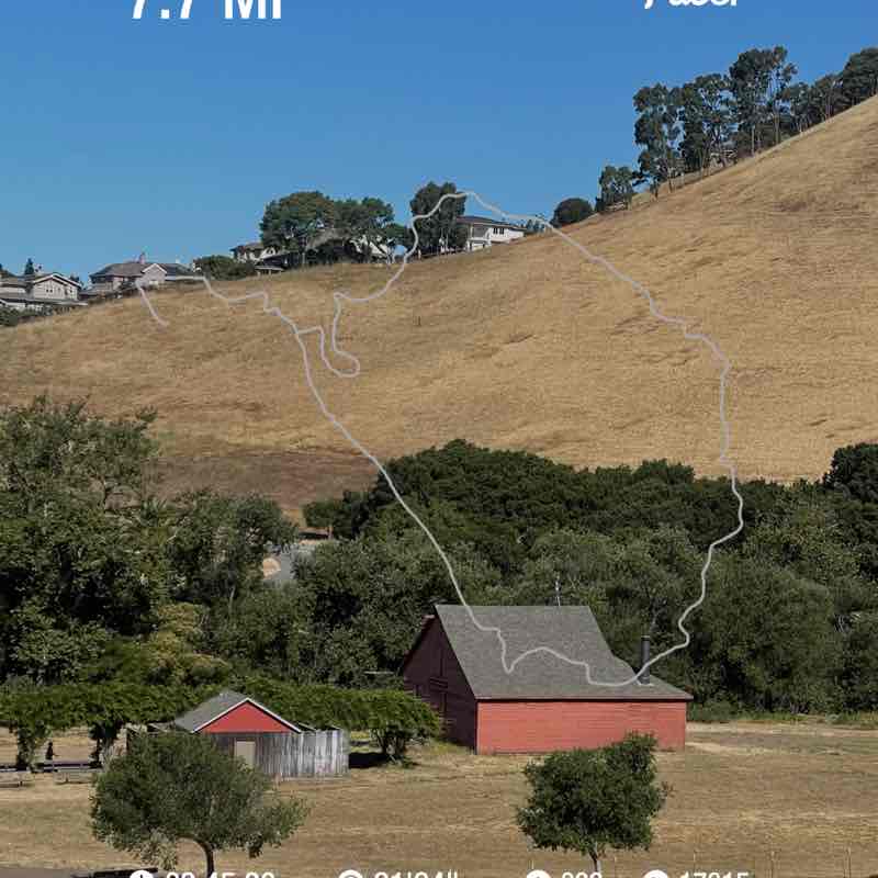 rodriguez.eliss post 1