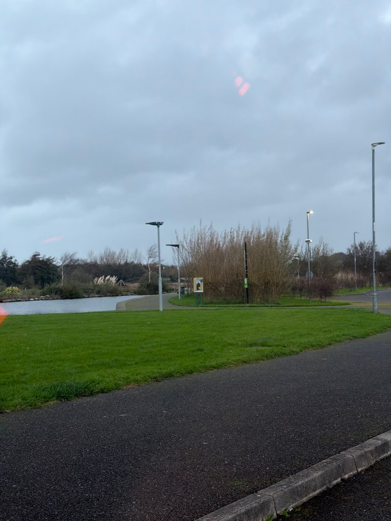 walking near me in Tralee Bay Wetlands Eco and Activity Park in autumn
