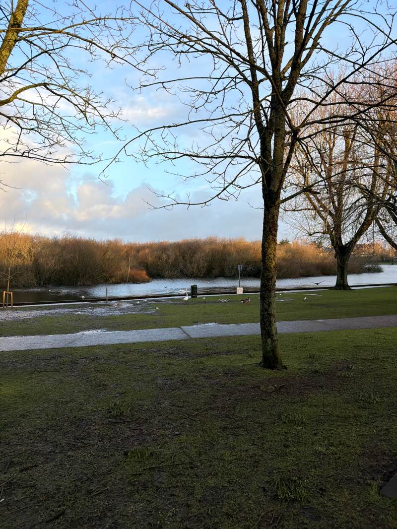 walking near me in Cork Lough in winter