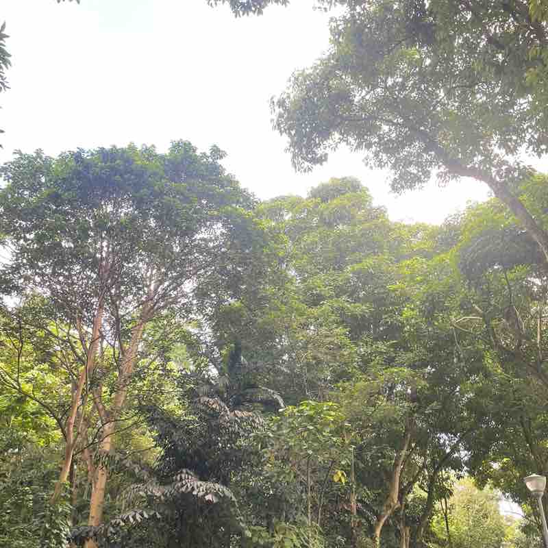 ლ𝐵𝑒𝓇𝓁𝓎‵ post 2