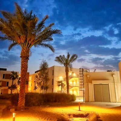 Happy Imperfect Pacers Peer Zadah post image