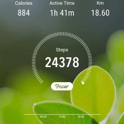 Happy Imperfect Pacers Peer Zadah post image