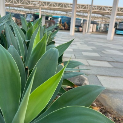 🌍🌎🌏Planet🌍🌎🌏Friends🌍🌎🌏 Peer  Zadah post image