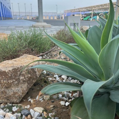 🌍🌎🌏Planet🌍🌎🌏Friends🌍🌎🌏 Peer  Zadah post image