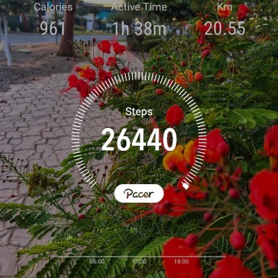 truth seekers Peer Zadah post image