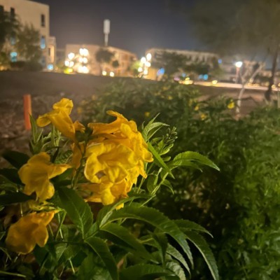 Happy Imperfect Pacers Peer Zadah post image