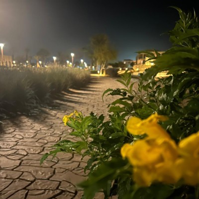 Happy Imperfect Pacers Peer Zadah post image