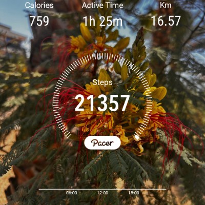 🌍🌏🌎Globe🌍🌏🌎Friends🌍🌏🌎 Peer  Zadah post image