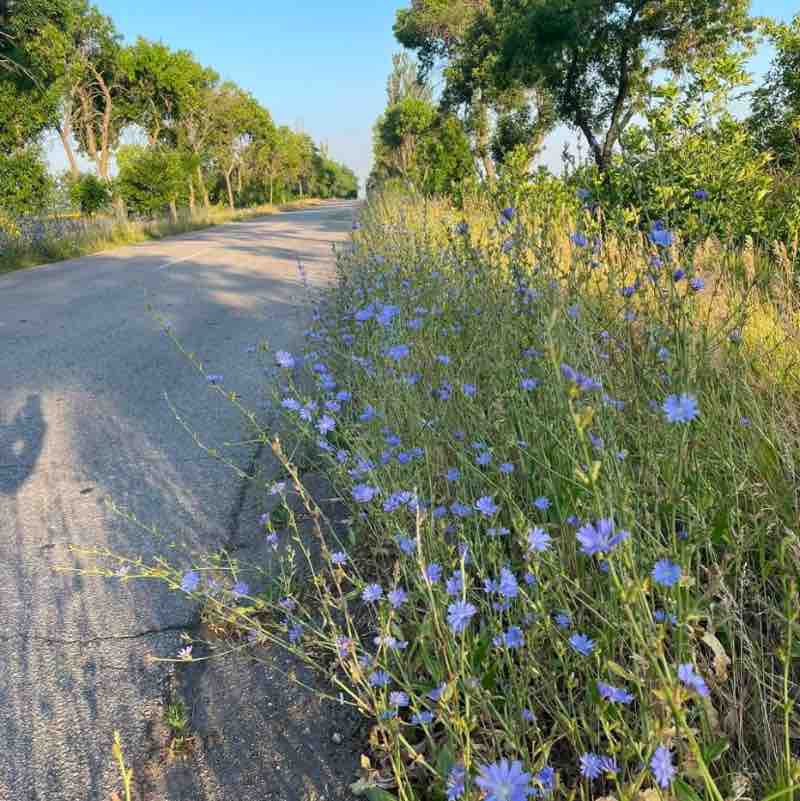 Zp City ,,Zaporozhye’’ 🔥🔥🔥Igor🔥🔥🔥 post image