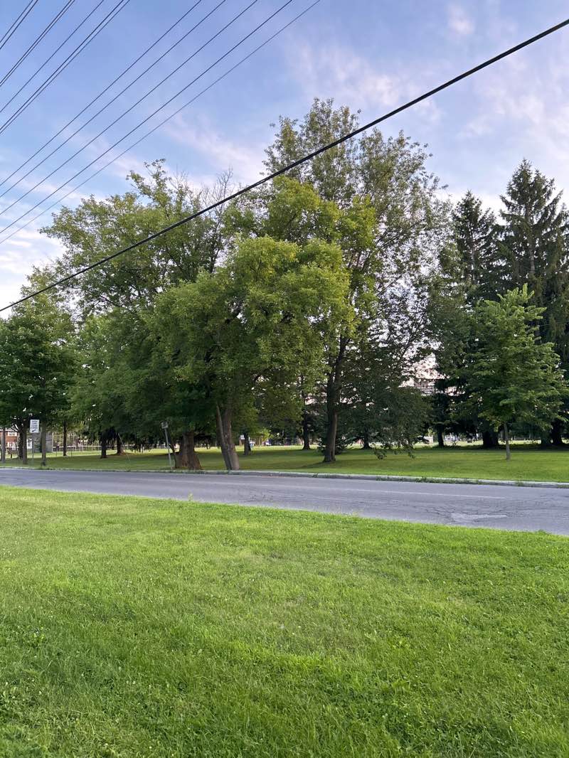 walking near me in R. George Pushman Park in autumn