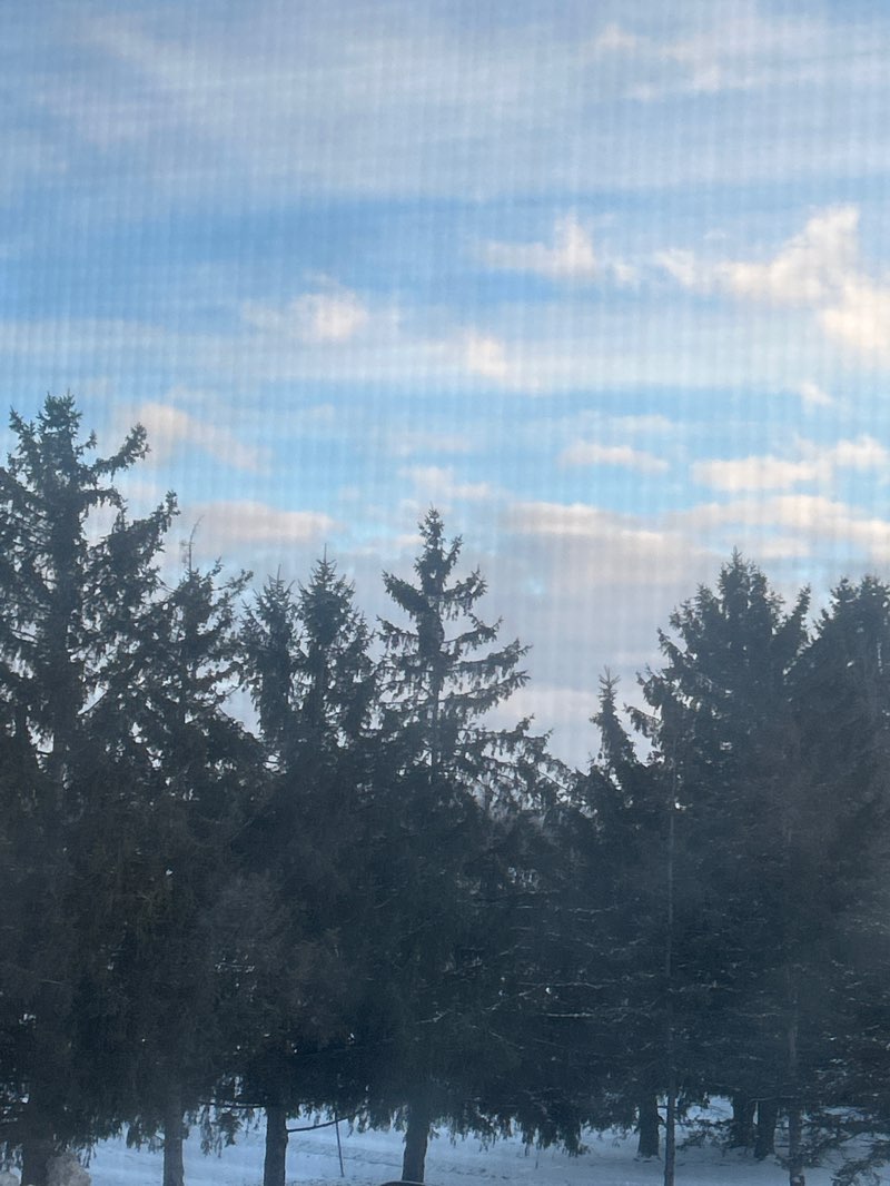 walking near me in Bruff Park in winter