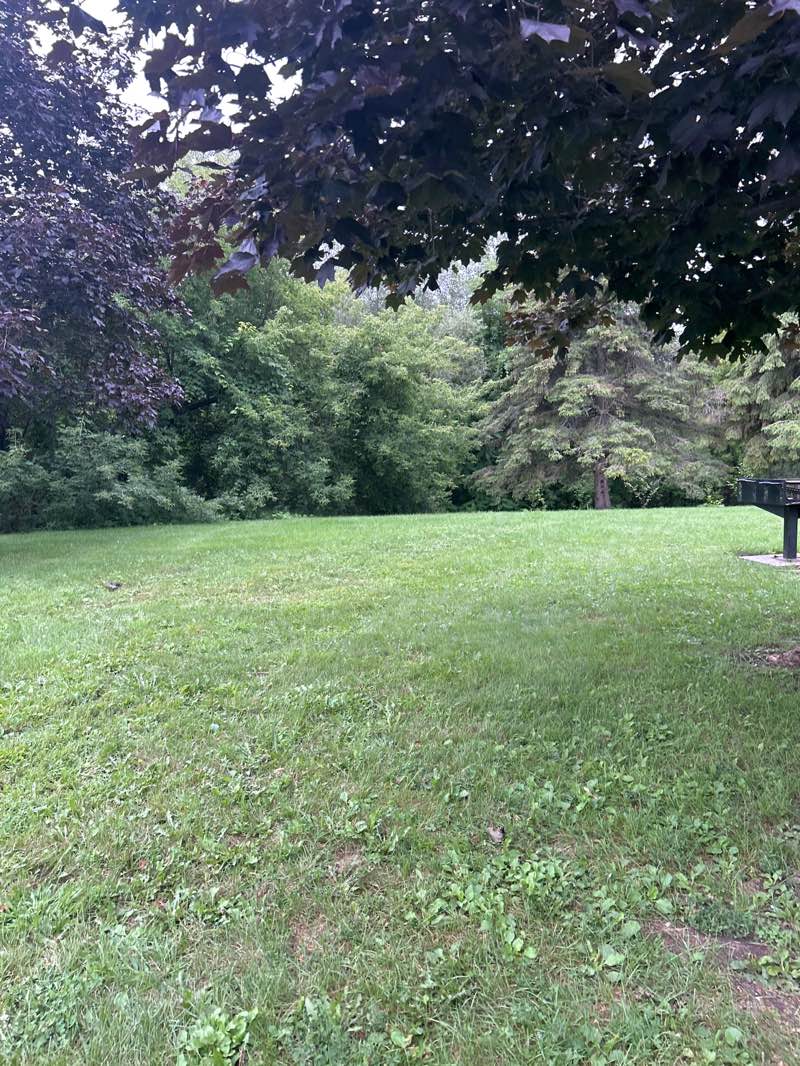 walking near me in Britannia Park in summer