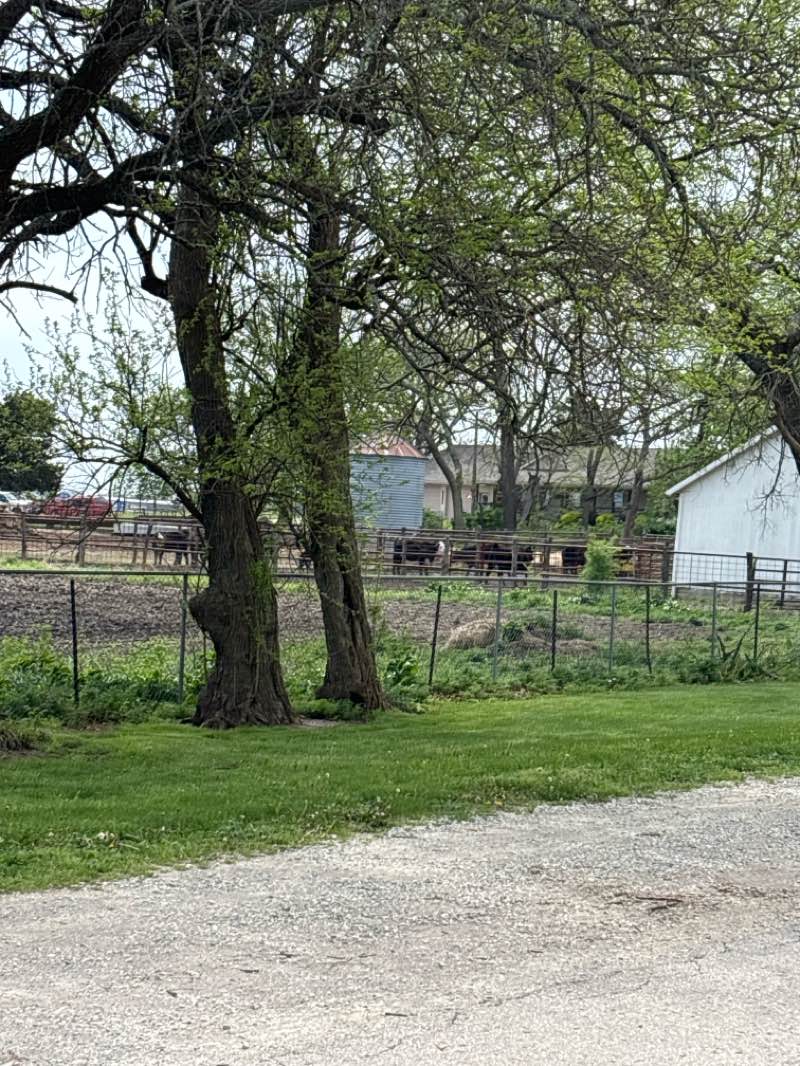 walking near me in Kelley Park in spring