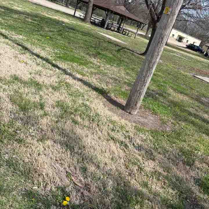 Jonathan Combes post 1