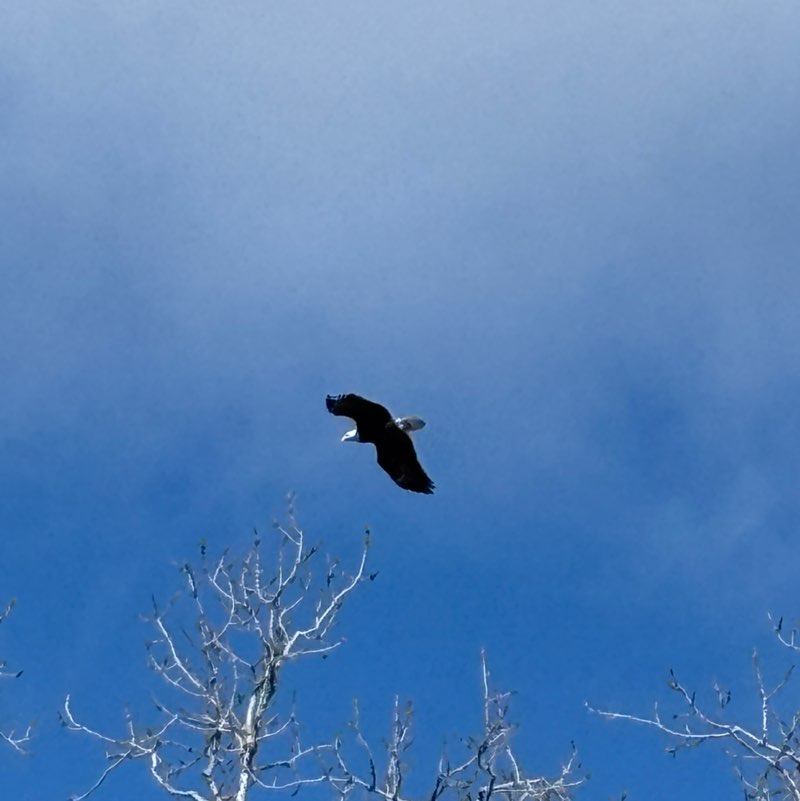 Jonathan Combes post 1