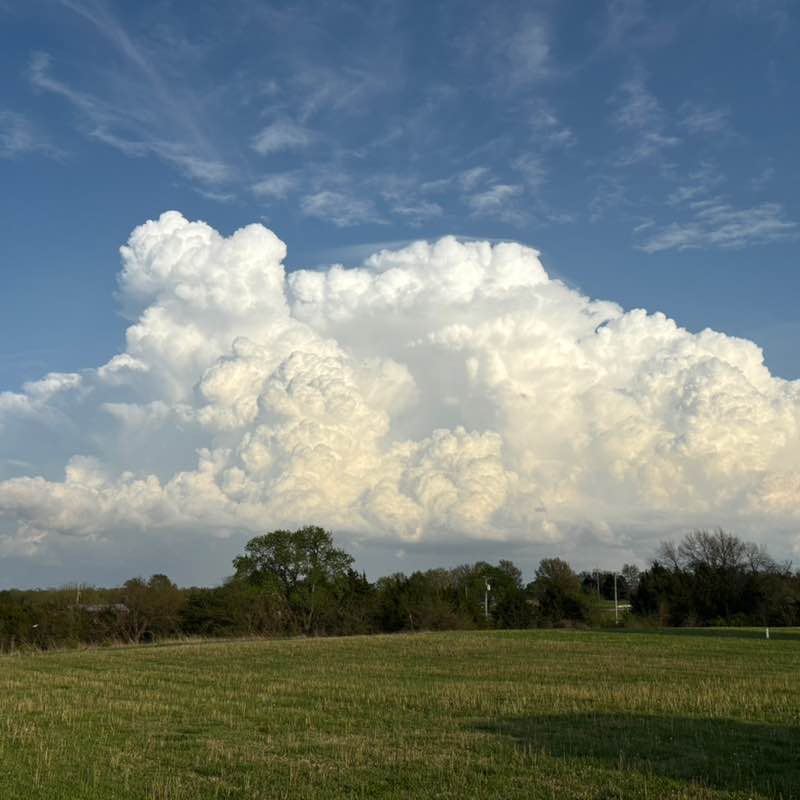 Jonathan Combes post 1