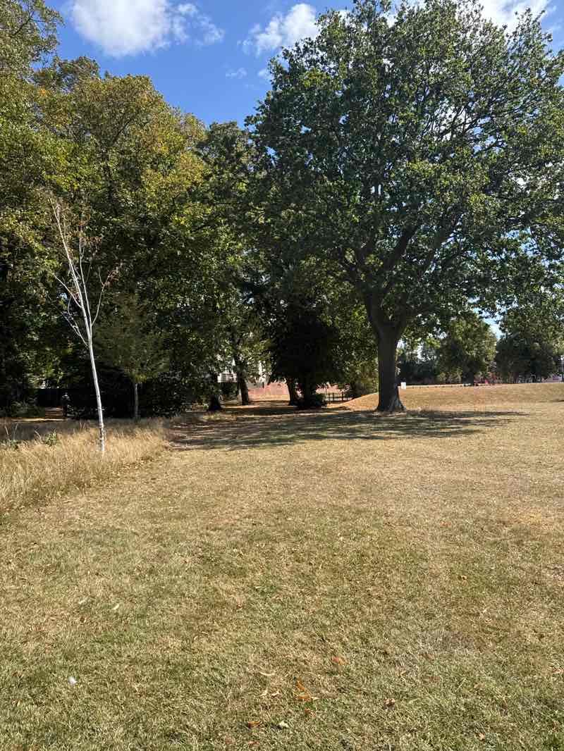 walking near me in New Ferry Park in autumn