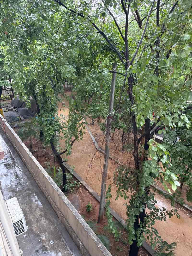 walking near me in PV Narasimharao Park in autumn