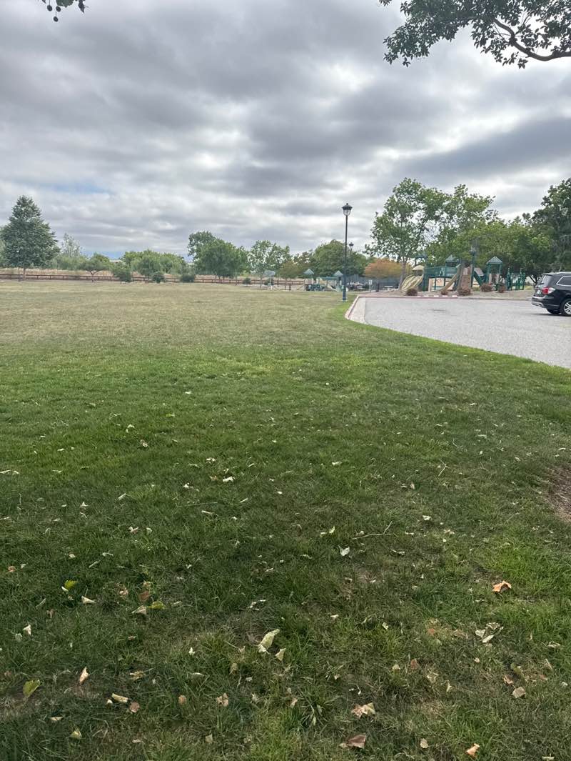 walking near me in Thamien Park in spring