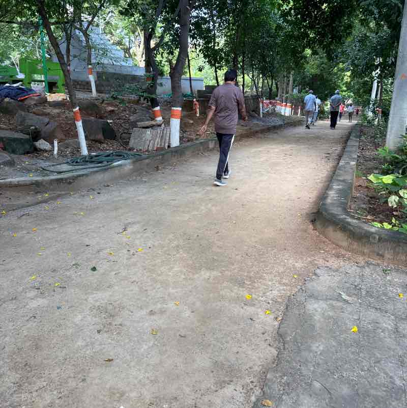 Ramanajee post 1