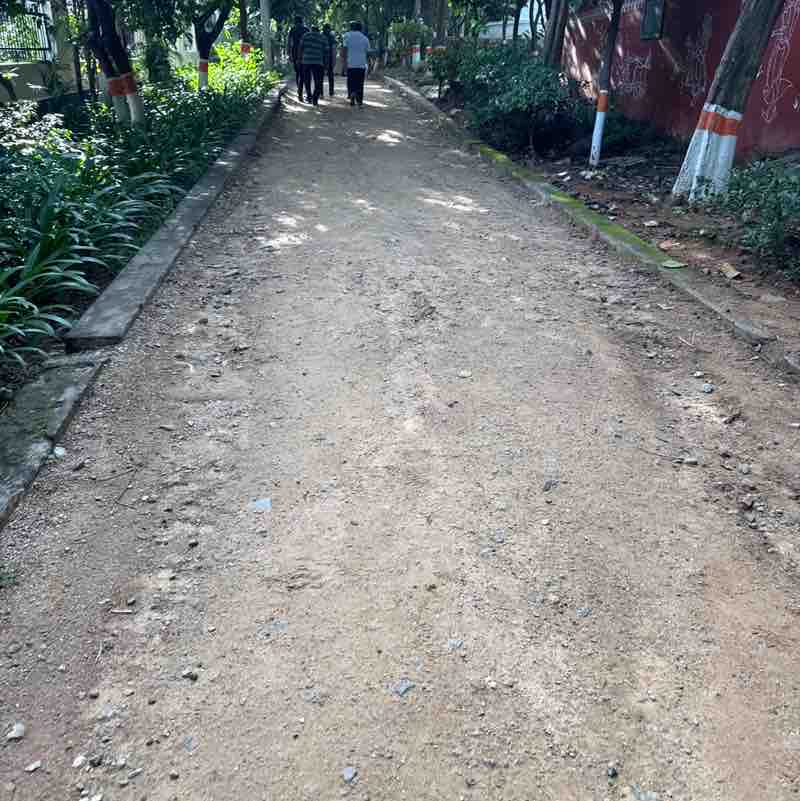 Ramanajee post 1